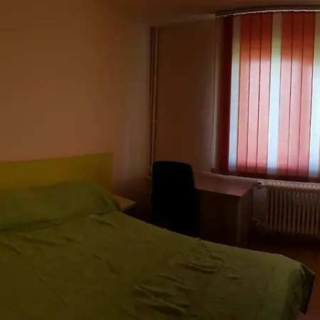 Apartament Raul Apartment